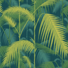 Palm_Jungle_1002_CS_SQ