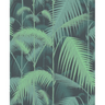 Palm_Jungle_1003_CS