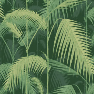 Icons – Palm Jungle