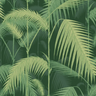 Palm_Jungle_1003_CS_SQ