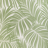 Palm_Leaves_23