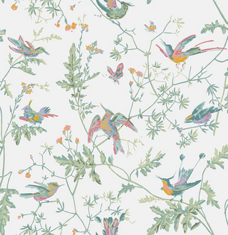 Selections of Hummingbirds - Hummingbirds