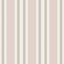 Polo_Stripe_-_Soft_Pink