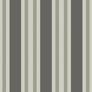 Marquee Stripes – Polo Stripe