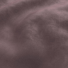Purple-TONIC_54J9721