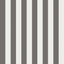 Regatta_Stripe_110_3016_CS