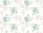Robin_s-Egg-VI81902