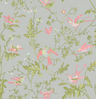 Rose-Olive-Grey-Hummingbirds124-1003
