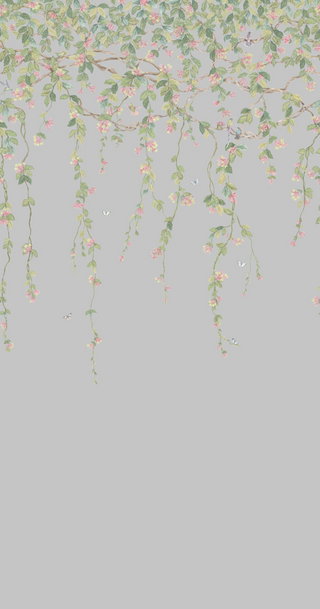 Selections of Hummingbirds – Hummingbirds Flora