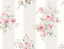 Rose-VI80901
