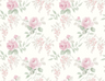 Rose-VI81911