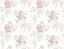 Rose-VI81911