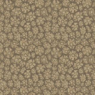 Admore Jabula - Savanna Shell
