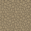 Savanna_Shell_4020_CS