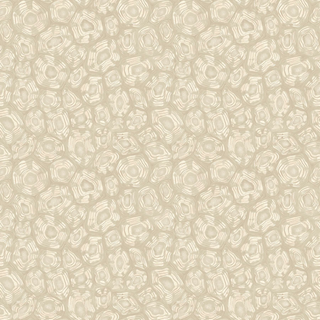 Admore Jabula - Savanna Shell