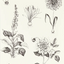 Secret-Garden-Roseraie-W0197_02_CAC