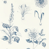 Secret-Garden-Roseraie-W0197_03_CAC