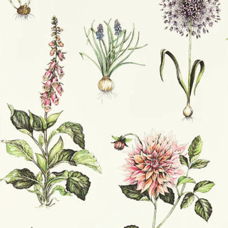 Secret Garden – Roseraie
