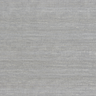Silver-10019_93W9581