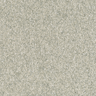 Silver-Gray-9057_94WS121