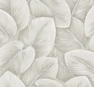 Savannah Grass -Lush Sisal