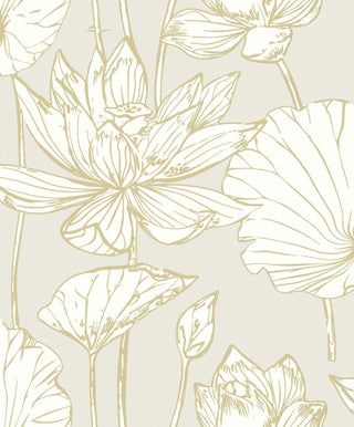 Viola- WH40700