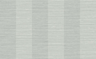 Silver-Silk-2025-04-08-123458-SR22107