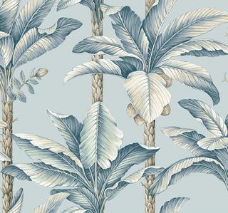Savannah Grass -Breeza
