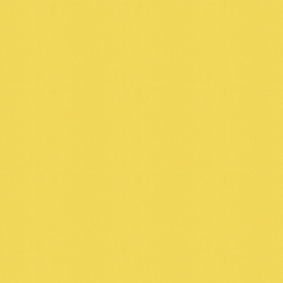Kravet Smart - 32565