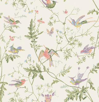 Selections of Hummingbirds - Hummingbirds