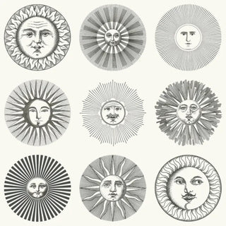 Fornasetti Senza Tempo II - Soli