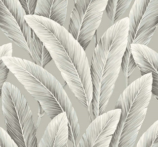 Savannah Grass -Foliage