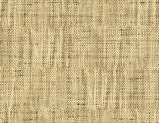 Savannah Grass -Kaya