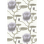 Summer_Lily_4023_CS