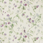 Sweet_Pea_6030_cs
