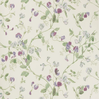 Botanical Botanica – Sweet Pea