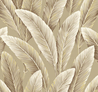 Savannah Grass -Foliage