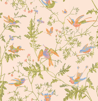 Selections of Hummingbirds - Hummingbirds