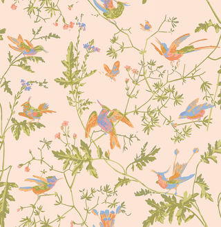 Selection of Hummingbirds - Hummingbirds