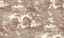 Taupe-DGSAL1041-1044