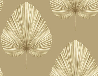 Savannah Grass -Grande Leaf