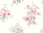 Valentine_s-Day-VI80911