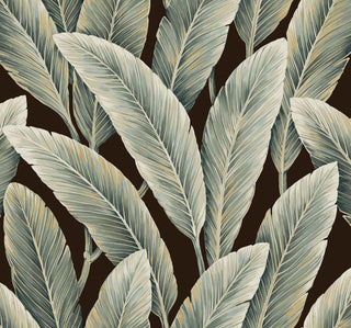 Savannah Grass -Foliage