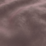 Violet-TONIC_52J9721
