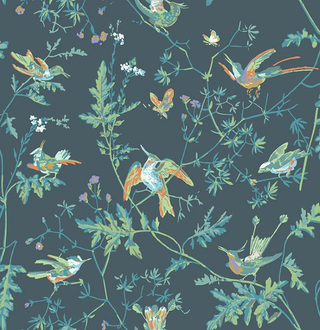 Selections of Hummingbirds - Hummingbirds