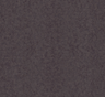 Walnut-ZON404