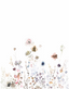 White-63449