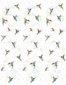 White-63461
