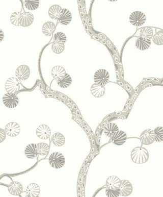 Allegra- WH41005
