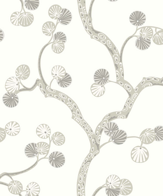 Allegra- WH41005